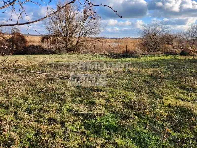 Участок в Краснодарский край, Брюховецкий район, Брюховецкая ст-ца ... - Фото 0