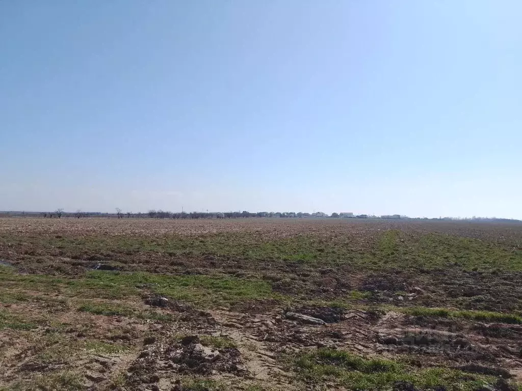 Участок в Севастополь Лукулл садоводческое товарищество, 236 (5.0 ... - Фото 1