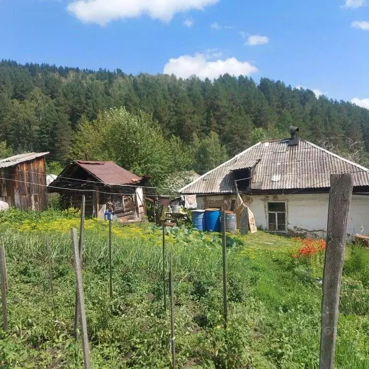 Дом в Хакасия, Майна рп ул. Буровая, 4 (41 м) - Фото 1