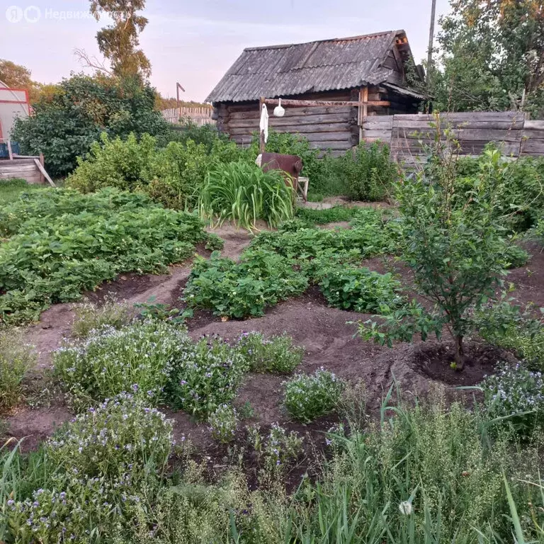 Участок в село Заводопетровское, улица Ломоносова, 4 (25 м) - Фото 0