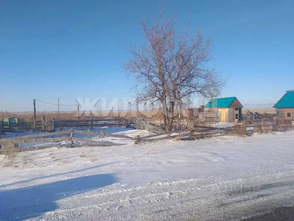 Участок в Алтайский край, Романовский район, с. Гуселетово Октябрьская ... - Фото 0