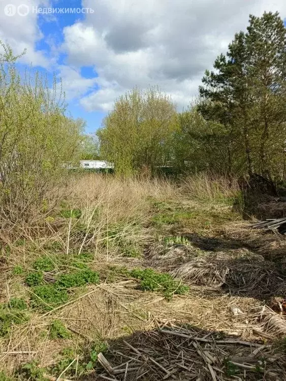 Дом в Кемерово, Кооперативная улица (24 м) - Фото 1