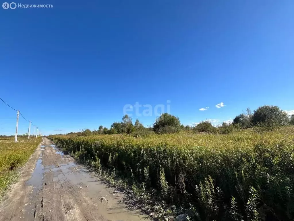 Участок в Калининградская область, Гурьевский муниципальный округ, ... - Фото 0