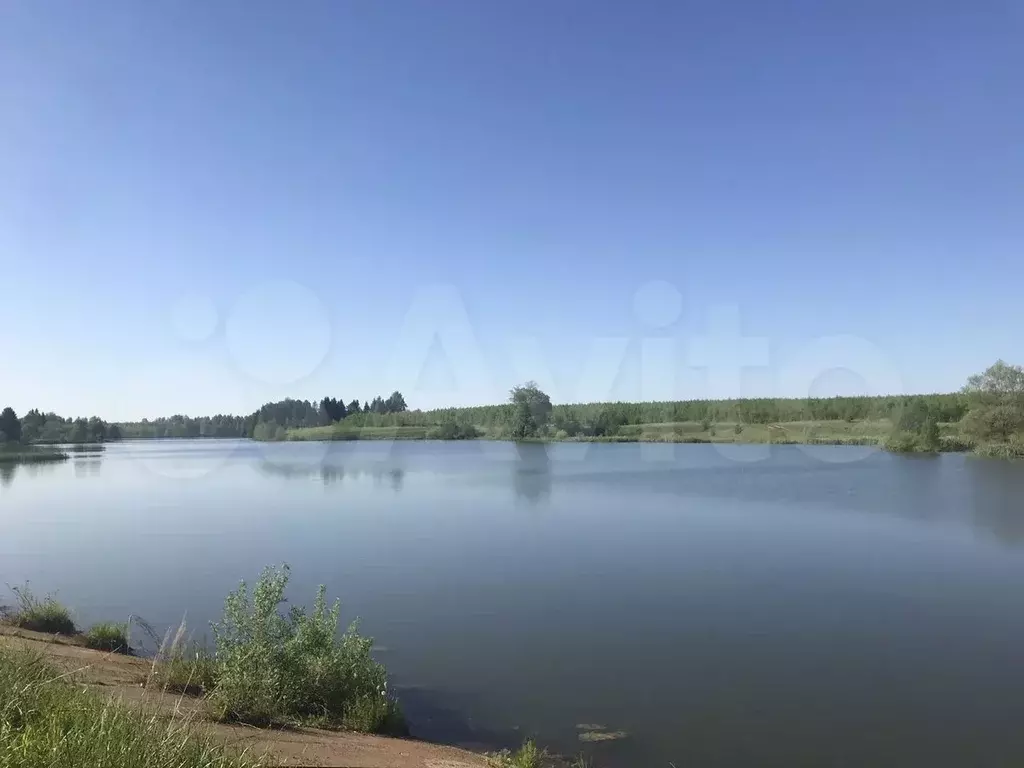 Участок 3,1 га (СНТ, ДНП) - Фото 1