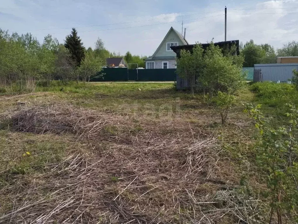 Участок в Вологодская область, Автомобилист СТ 181 (6.0 сот.) - Фото 2