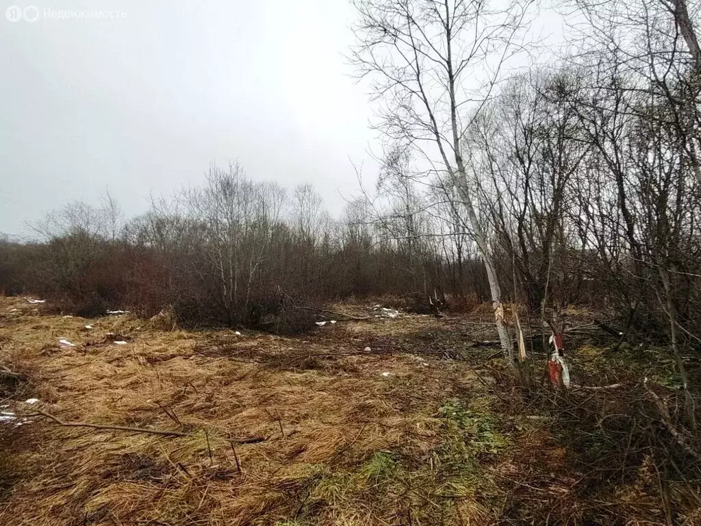 Участок в Волхов, улица Репина (10.6 м) - Фото 2