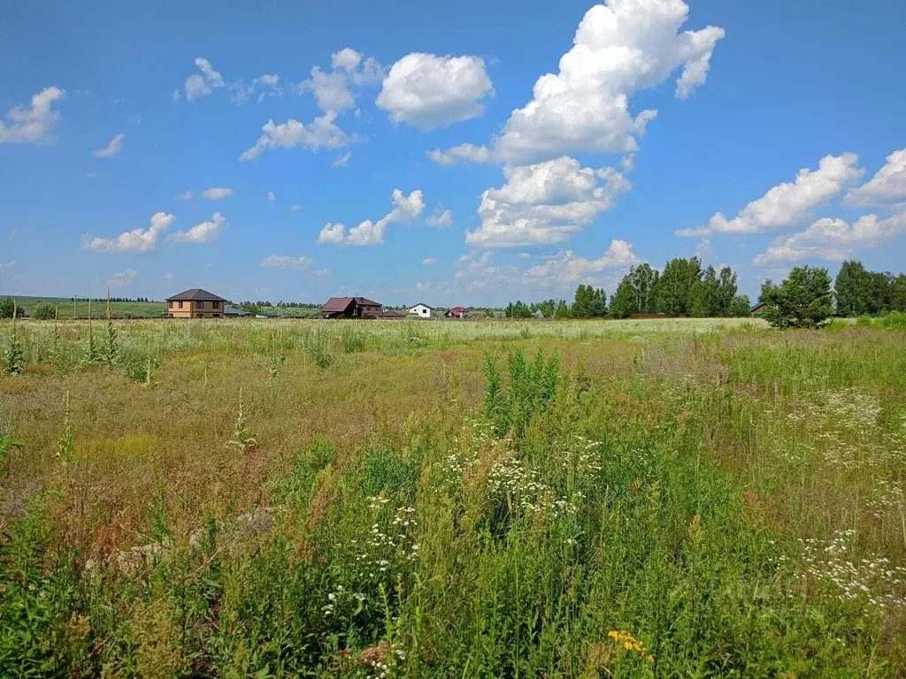 Участок в Владимирская область, Суздальский район, Боголюбовское ... - Фото 1