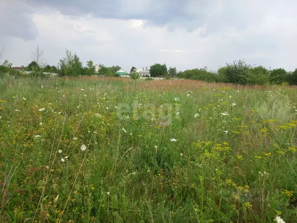 Участок в Белгородская область, Губкинский городской округ, с. Аверино ... - Фото 1
