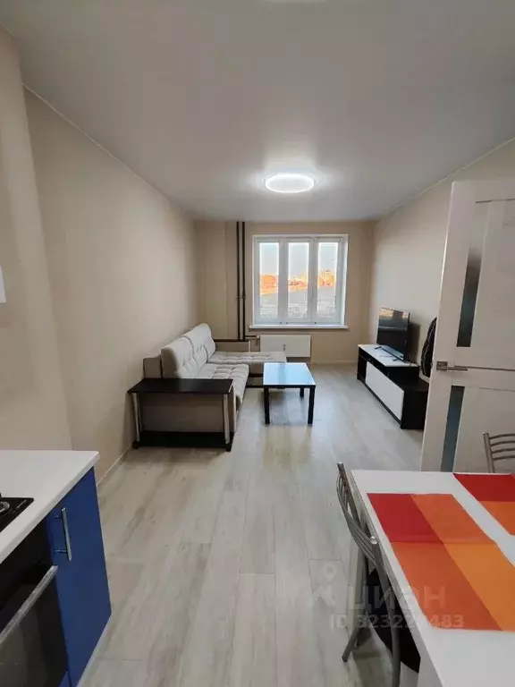 1-к кв. Псковская область, Псковский район, Завеличенская волость, д. ... - Фото 2