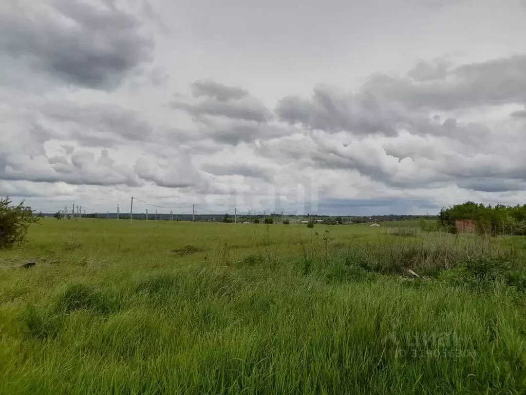Участок в Саратовская область, Балашовский район, Хоперское ... - Фото 2