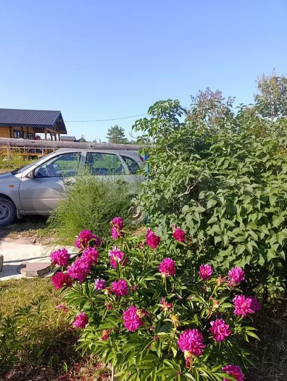 Дача 20 м на участке 6 сот. - Фото 0