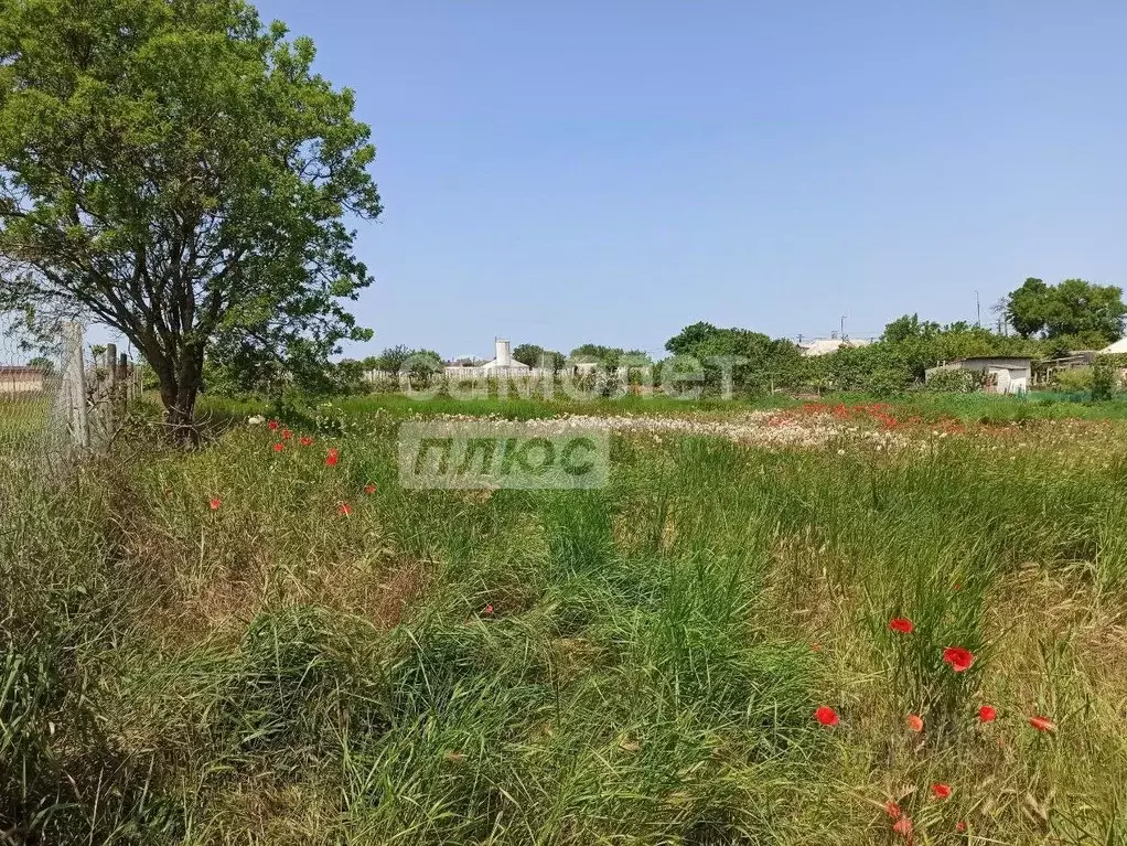 Участок в Крым, Ленинский район, Глазовское с/пос, с. Осовины ул. ... - Фото 2