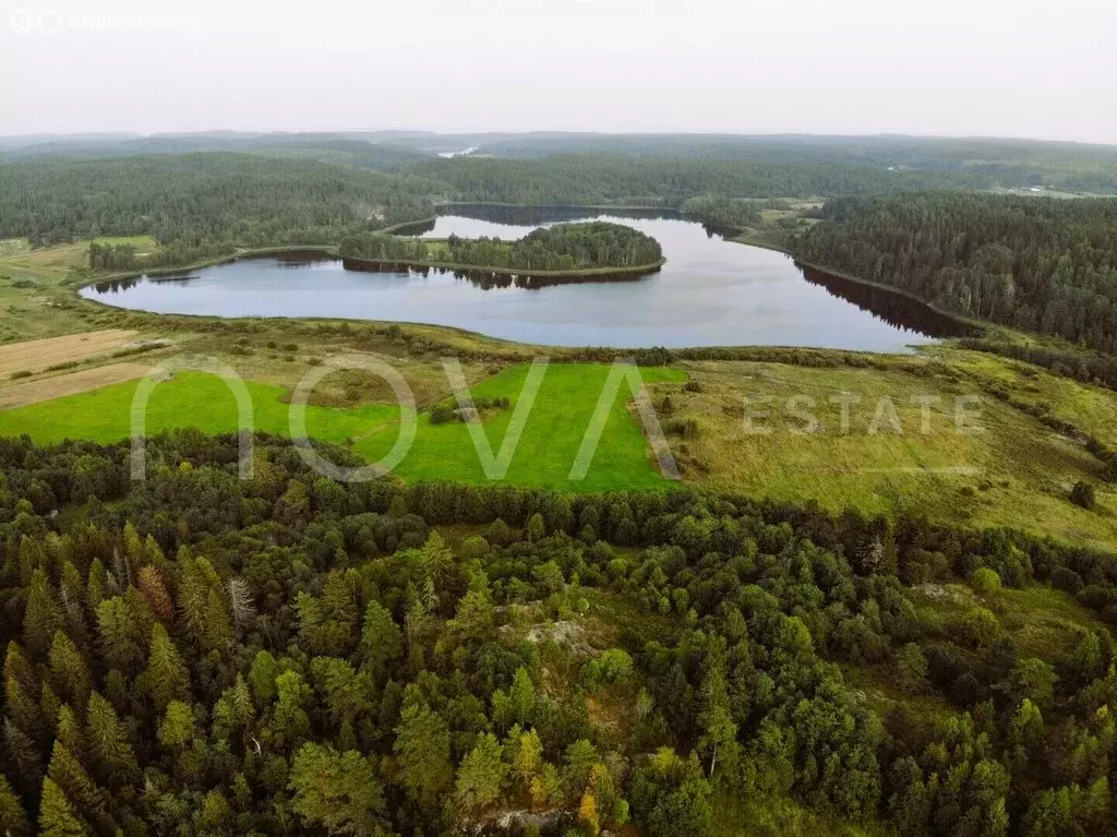 Участок в Республика Карелия, Лахденпохский муниципальный округ, ... - Фото 1
