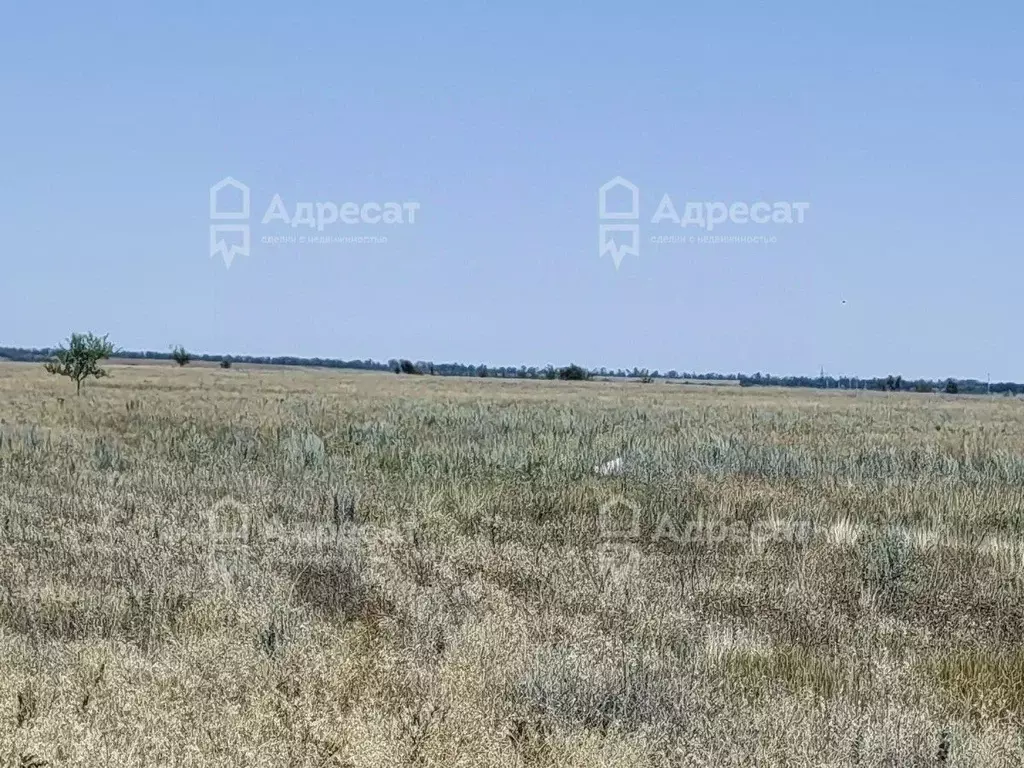 Участок в Волгоградская область, Волгоград ул. Венгерская (6.42 сот.) - Фото 1