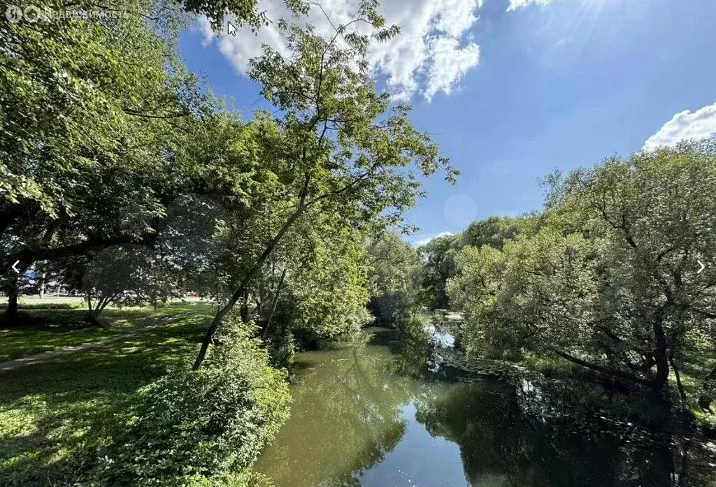 Участок в Московская область, муниципальный округ Чехов, деревня ... - Фото 1