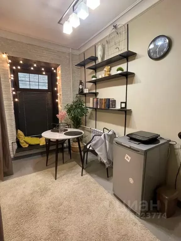 Студия Санкт-Петербург Пушкинская ул., 11 (25.0 м) - Фото 2