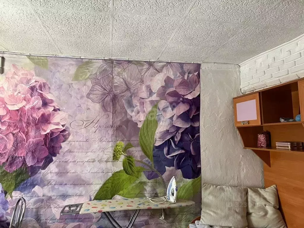 Дом в Алтай, Горно-Алтайск Кленовый пер., 7 (29 м) - Фото 2