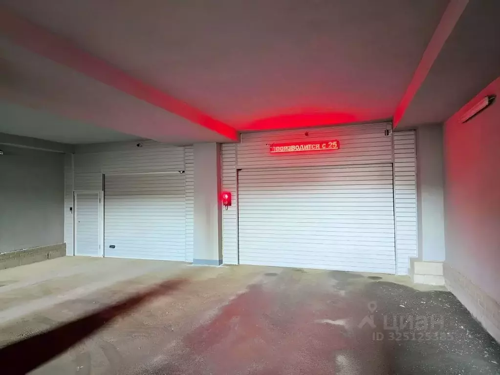 Гараж в Санкт-Петербург пос. Шушары, просп. Старорусский, 8к1 (13 м) - Фото 2