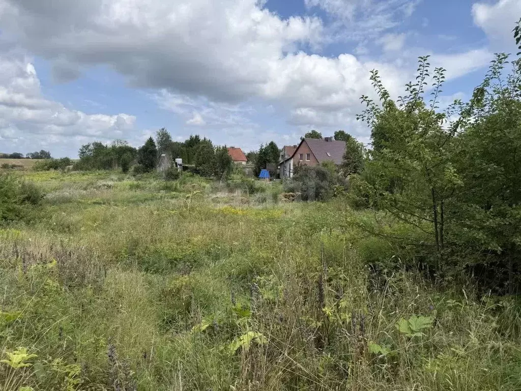 Участок в Калининградская область, Багратионовский муниципальный ... - Фото 1