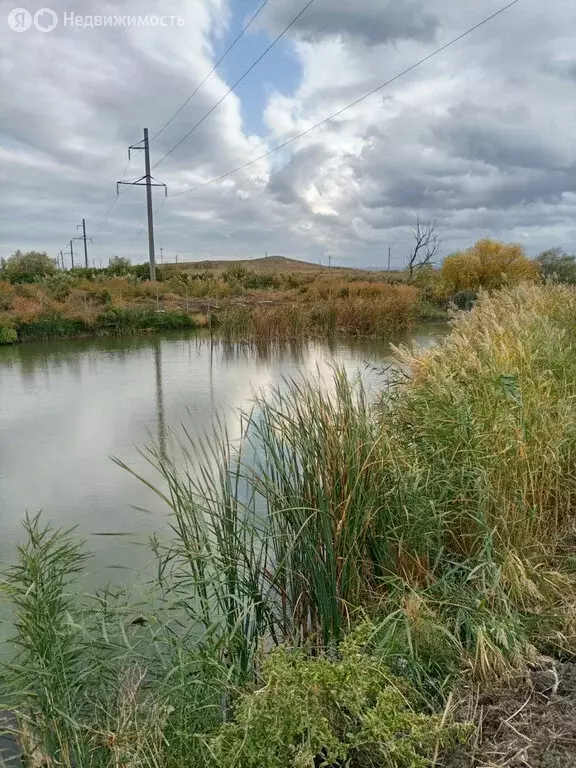 Участок в Ставропольский край, Шпаковский муниципальный округ, посёлок ... - Фото 1