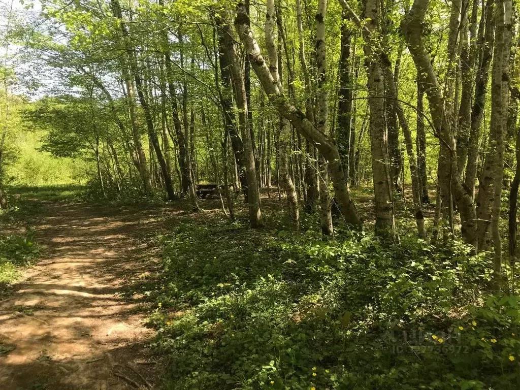 Участок в Краснодарский край, Апшеронский район, Новополянское с/пос, ... - Фото 2