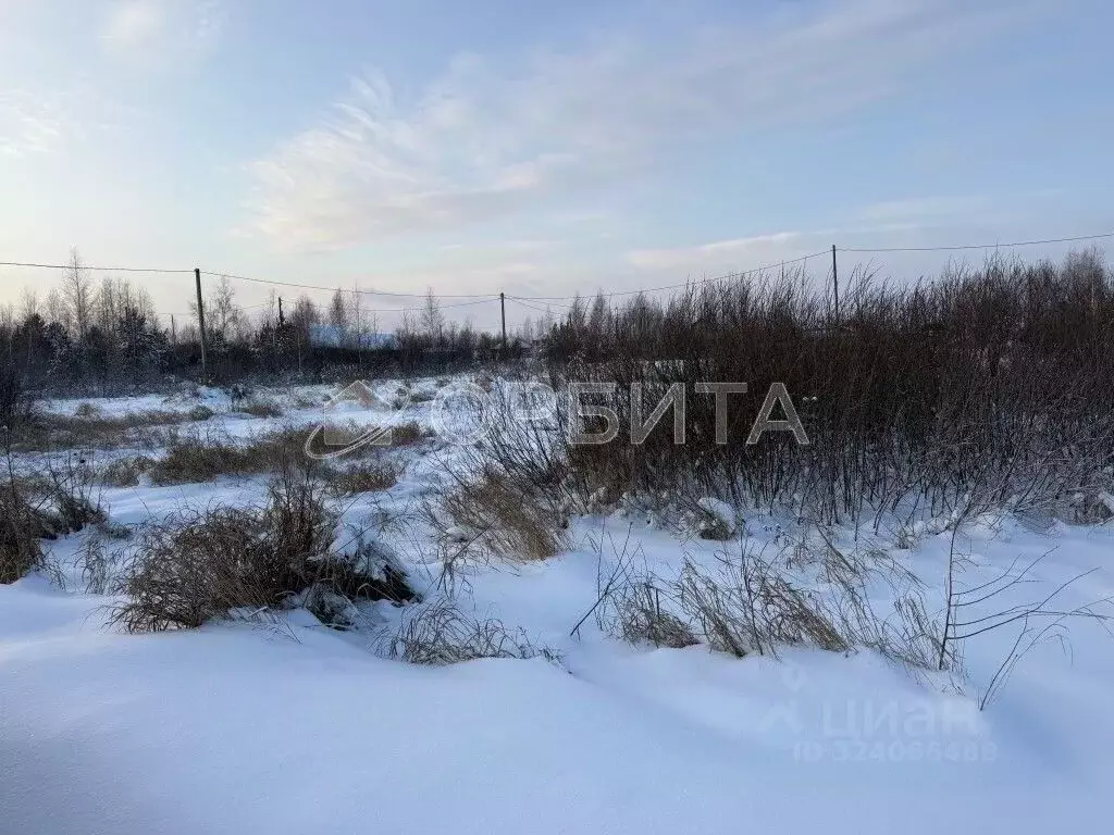 Участок в Тюменская область, Тюменский муниципальный округ, ... - Фото 1