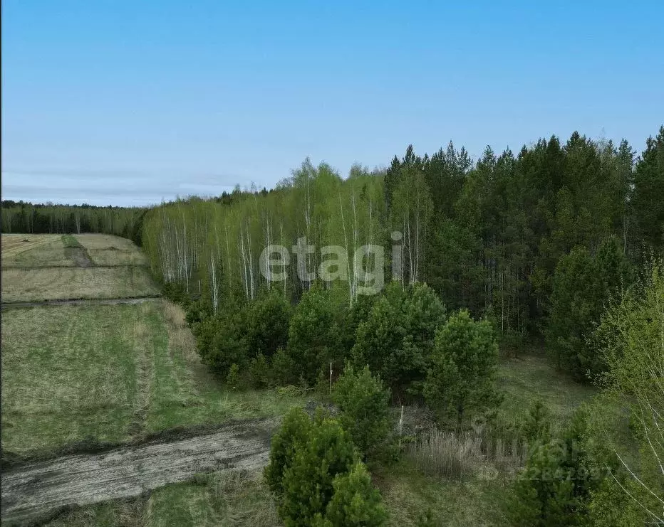 Участок в Свердловская область, Тугулымский муниципальный округ, ... - Фото 1