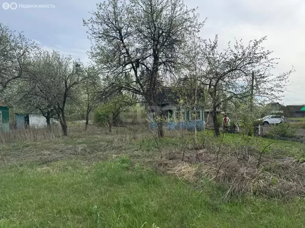 Участок в Чернетовское сельское поселение, СДТ Иволга-5 (10 м) - Фото 1