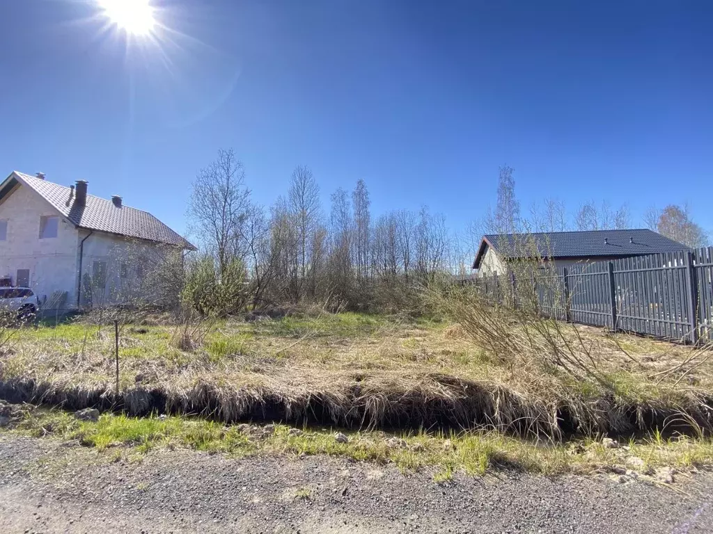 Участок в Ленинградская область, Всеволожский район, Рахьинское ... - Фото 0