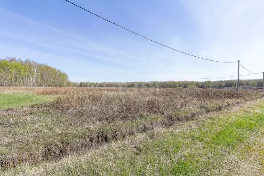 Участок в Тюменская область, Тюменский муниципальный округ, с. Кулига, ... - Фото 1