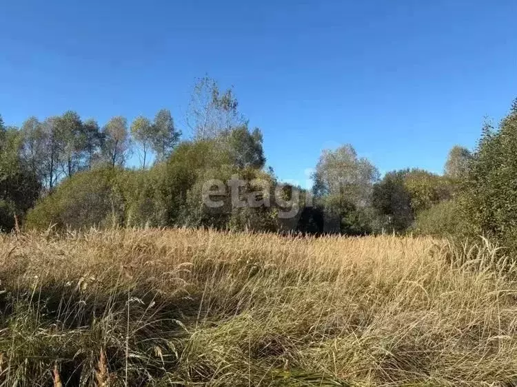 Участок в Московская область, Воскресенск городской округ, Имени ... - Фото 1