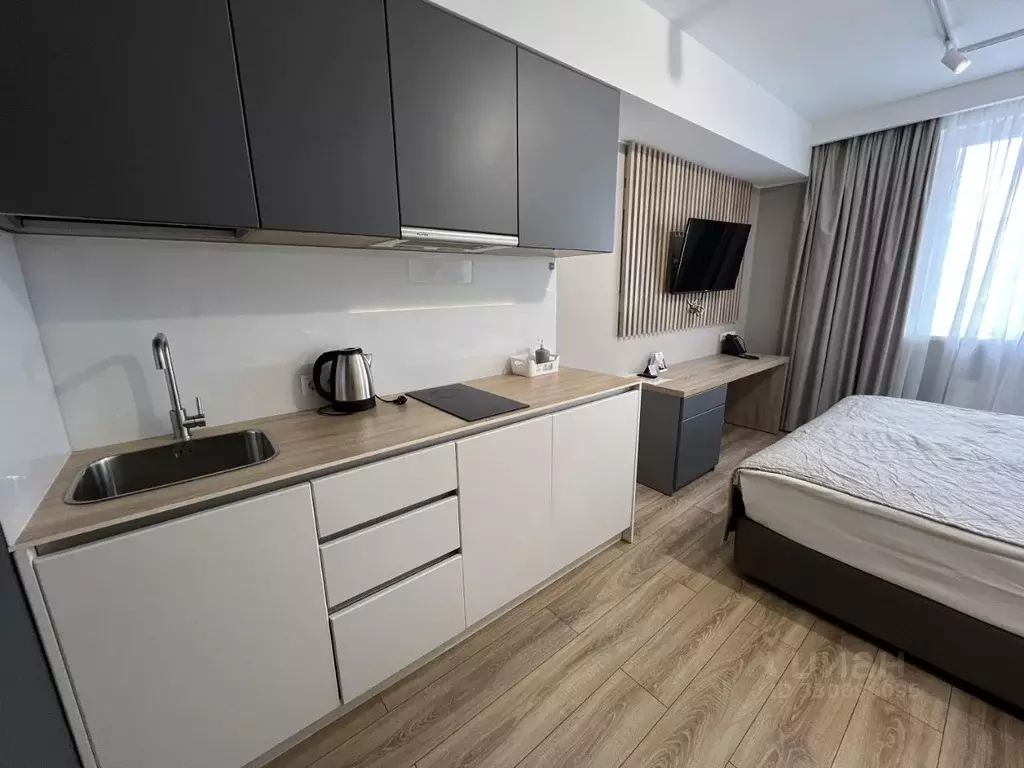Студия Санкт-Петербург Заозерная ул., 3к3 (23.0 м) - Фото 2