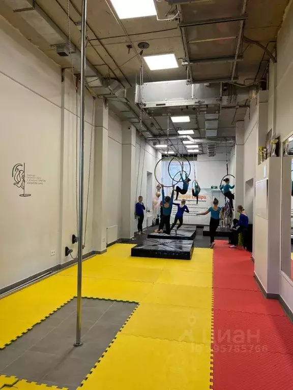 Помещение свободного назначения в Новосибирская область, Новосибирск ... - Фото 1