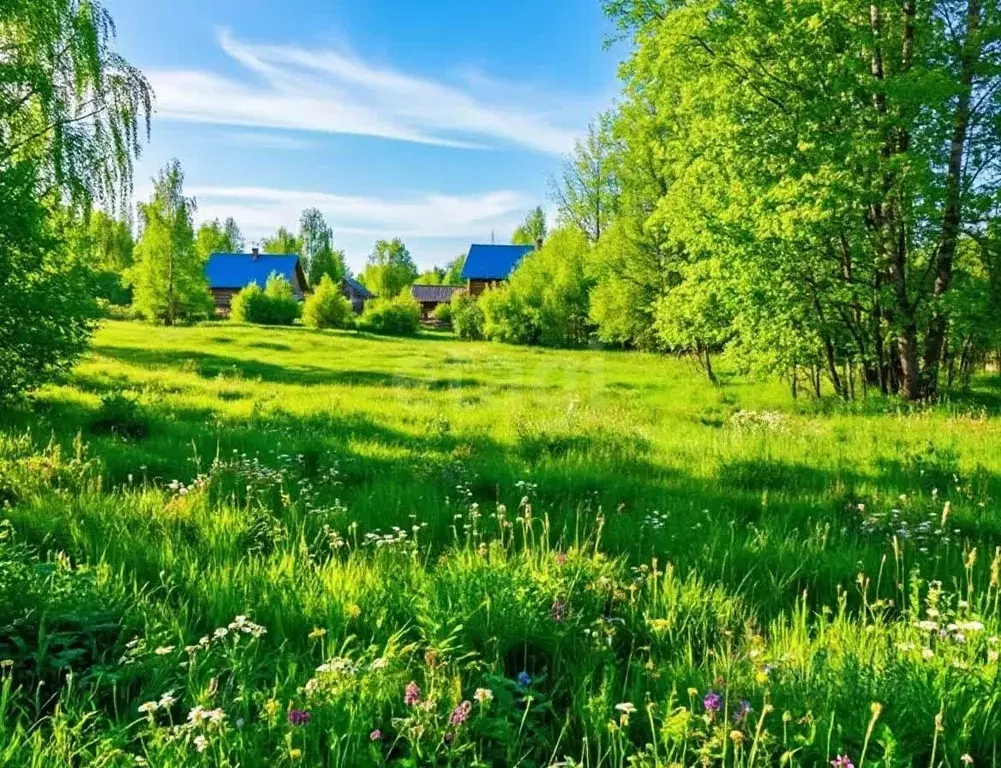 Участок в Вологодская область, Череповецкий район, д. Ирдоматка ул. ... - Фото 1