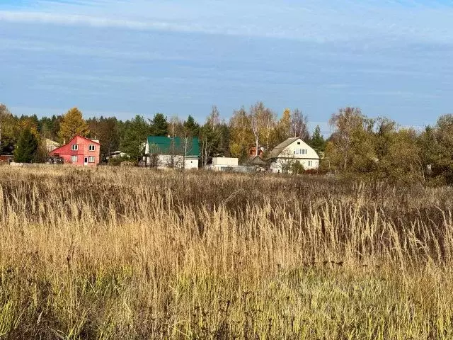 Участок в Московская область, Домодедово городской округ, д. Данилово ... - Фото 1