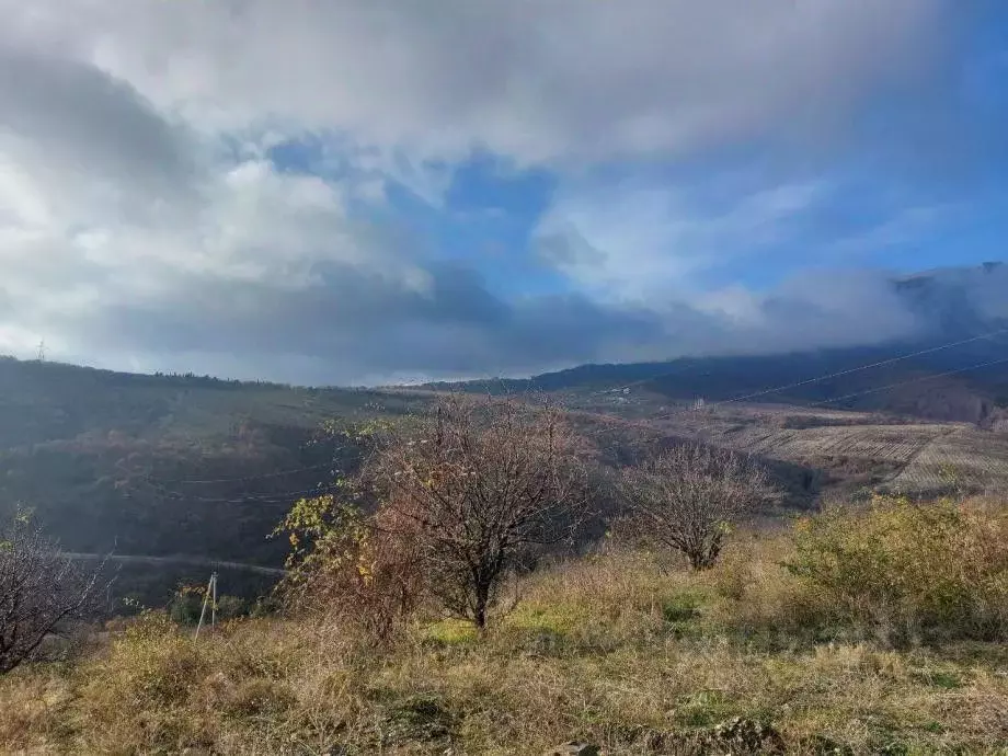 Участок в Крым, Алушта городской округ, с. Лучистое ул. Табачная (8.3 ... - Фото 1