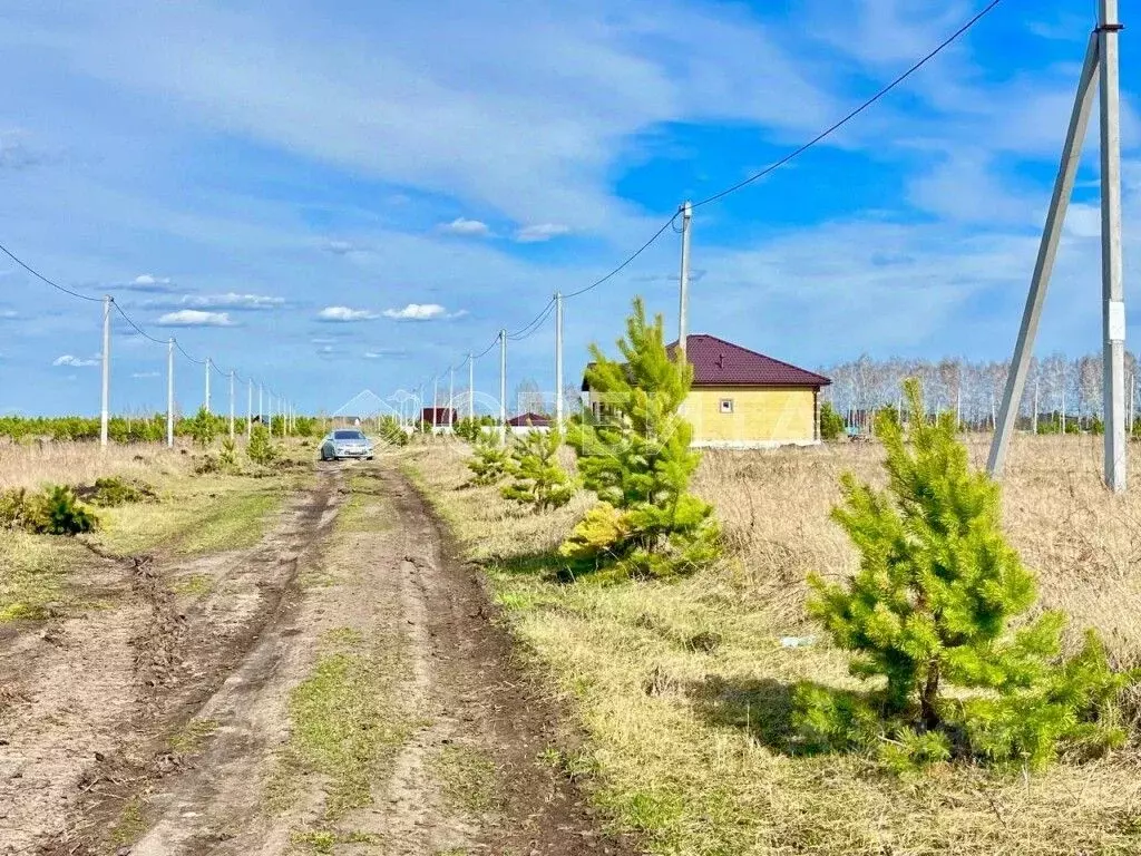 Участок в Тюменская область, Вагайский район, д. Елань Еланская ул., 5 ... - Фото 0