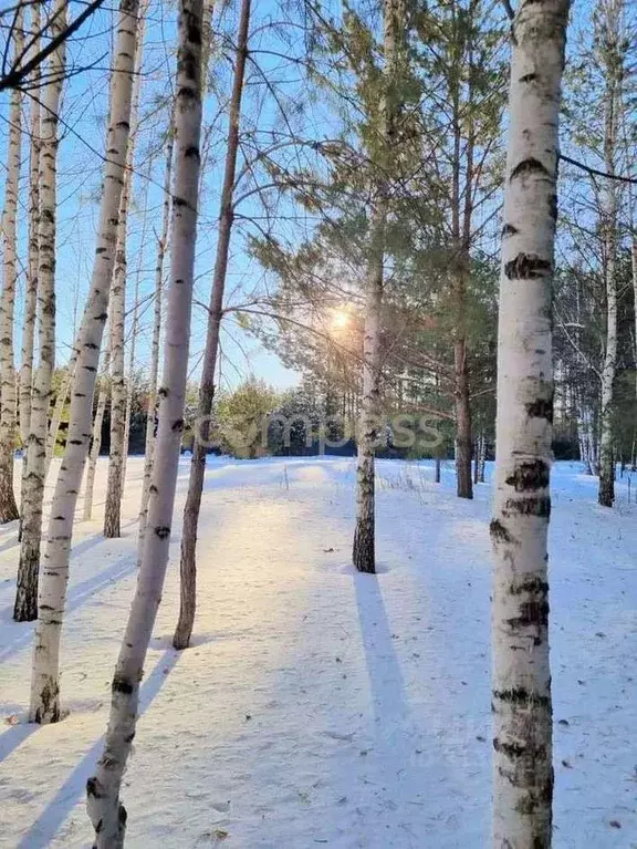 Участок в Тюменская область, Нижнетавдинский район, с. Тюнево  (10.5 ... - Фото 0