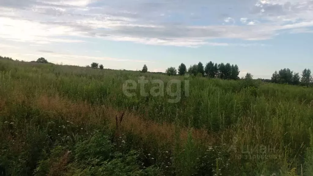 Участок в Хабаровский край, Хабаровский район, Осиновореченское с/пос, ... - Фото 2