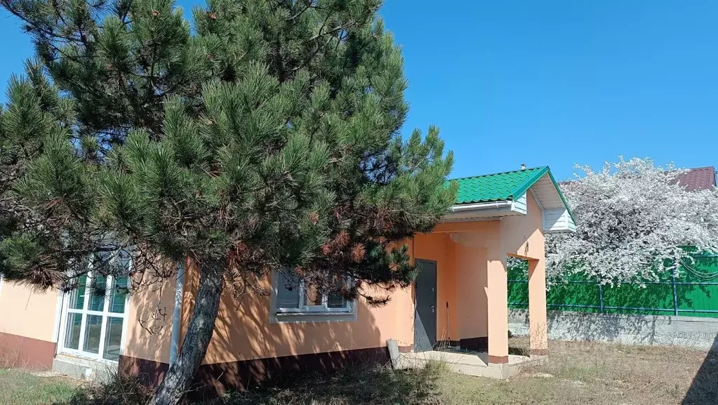 Дом в Севастополь Балаклавский муниципальный округ, Скиф садовое ... - Фото 1