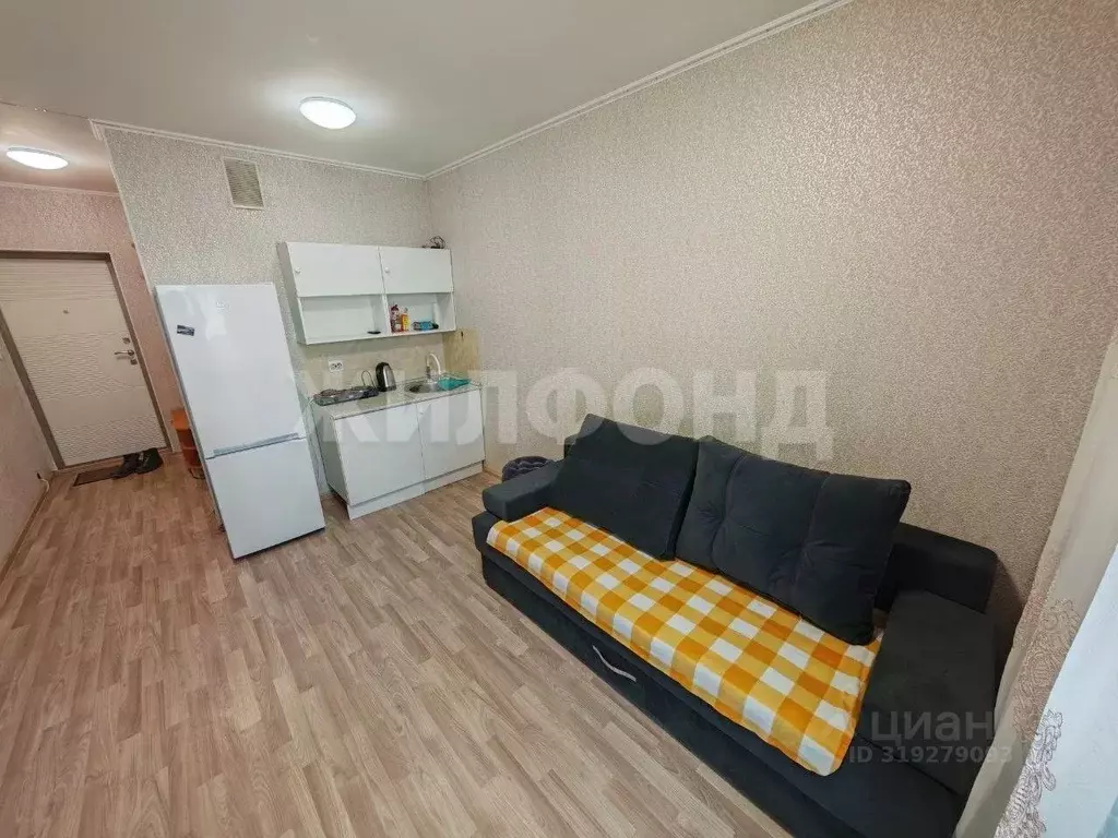Студия Новосибирская область, Новосибирск ул. Фадеева, 66/2 (19.0 м) - Фото 1