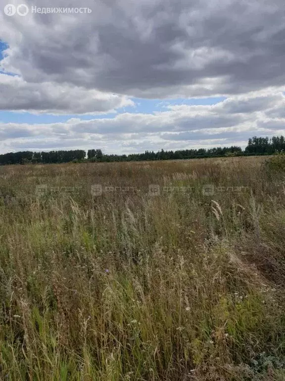 Участок в Лаишевский район, Егорьевское сельское поселение, дачное ... - Фото 1