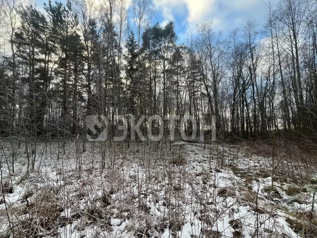 Участок в Ленинградская область, Выборгский район, Полянское с/пос, ... - Фото 2