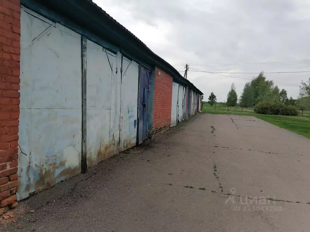 Помещение свободного назначения в Белгородская область, Алексеевский ... - Фото 1