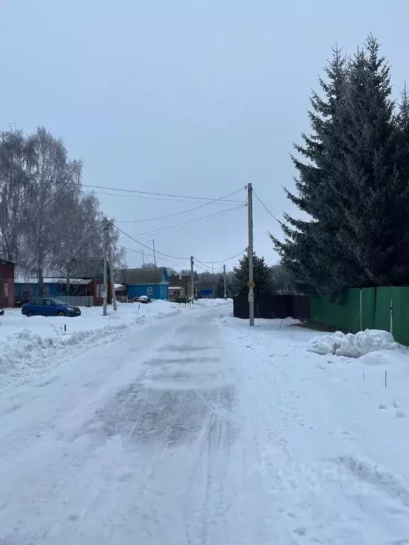 Участок в Татарстан, Пестречинский район, Богородское с/пос, с. ... - Фото 1