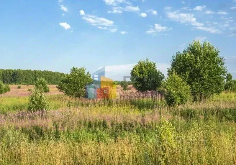 Участок в Тульская область, Тула городской округ, д. Хопилово, ... - Фото 1