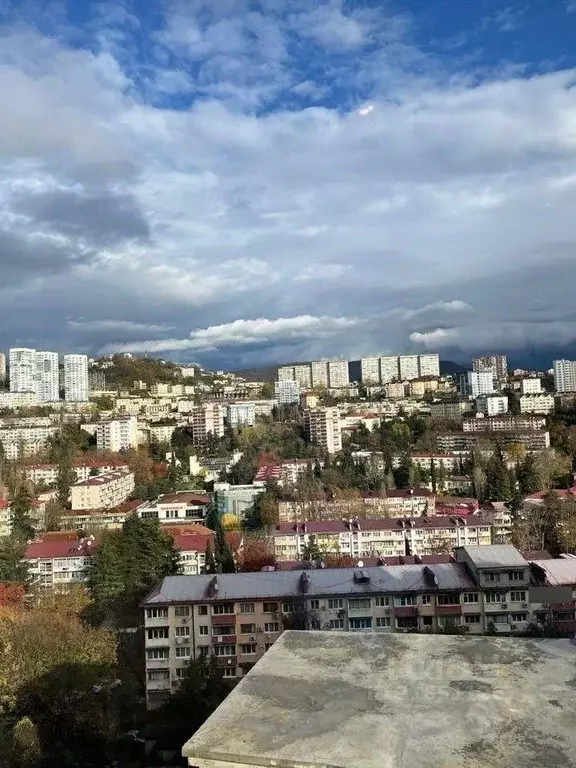 3-к кв. Краснодарский край, Сочи Виноградная ул., 188А (70.0 м) - Фото 1