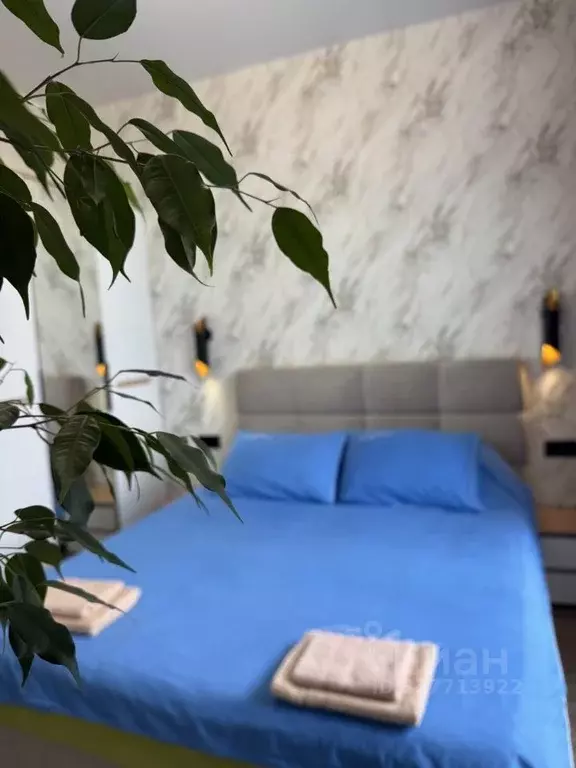 2-к кв. Калининградская область, Светлогорск Ольховая ул., 32к7 (48.0 ... - Фото 1