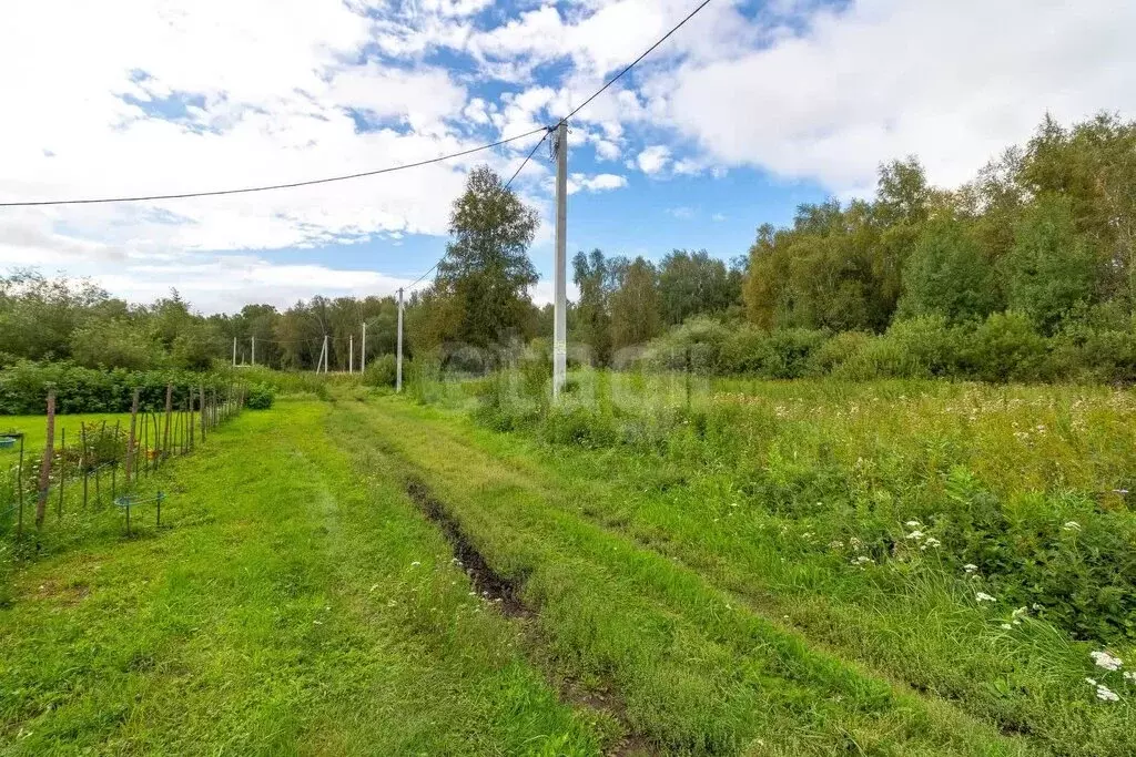 Участок в Тюмень, ДНТСН Зелёный Бор, Центральная улица (7.35 м) - Фото 2