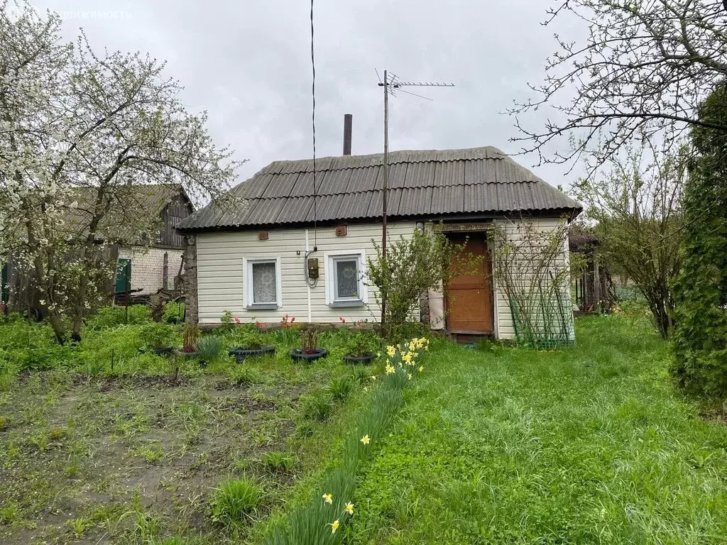 Участок в село Нелжа, улица Мира, 8 (2800 м) - Фото 1